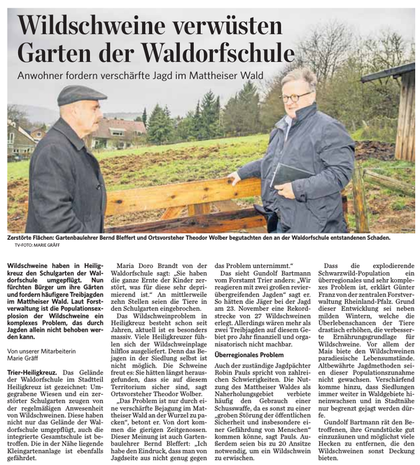 Trierischer Volksfreund, 15.01.2015, Wildschweine im Schulgarten